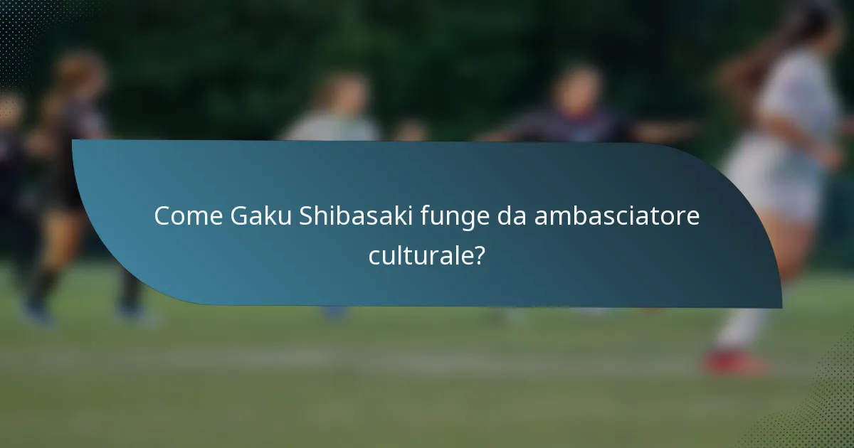 Come Gaku Shibasaki funge da ambasciatore culturale?