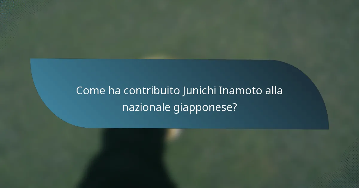 Come ha contribuito Junichi Inamoto alla nazionale giapponese?