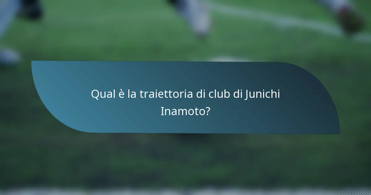 Qual è la traiettoria di club di Junichi Inamoto?