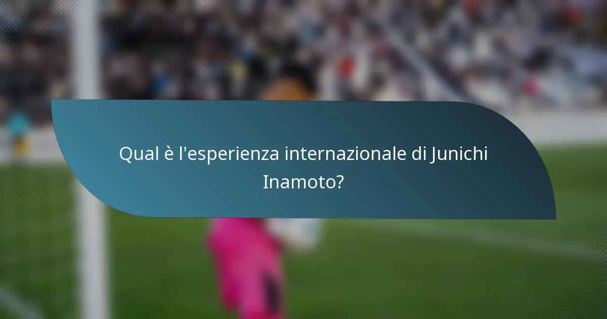 Qual è l'esperienza internazionale di Junichi Inamoto?